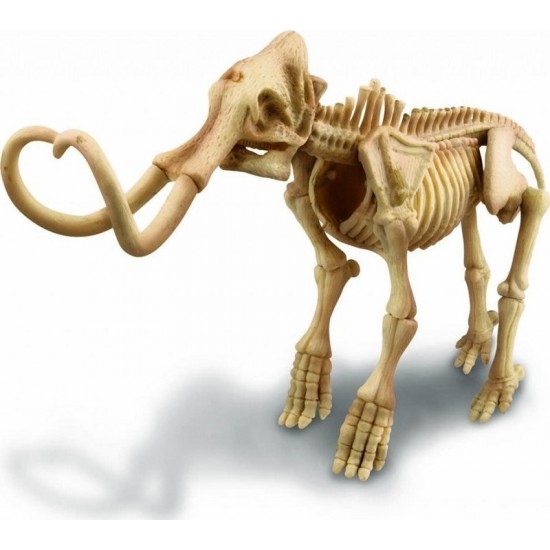 ΑΝΑΣΚΑΦΗ ΜΑΜΟΥΘ Δεινόσαυροι - Ηφαίστεια 4M Toys 0021