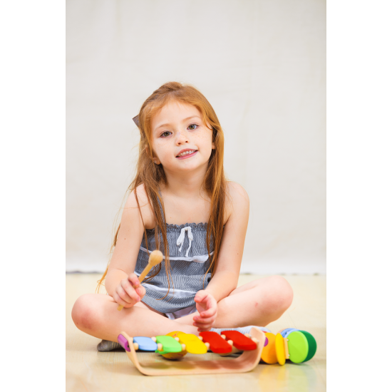 Ξυλόφωνο  Plan toys  6405