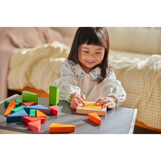 Κλάσματα με τουβλάκια Plan Toys 5467