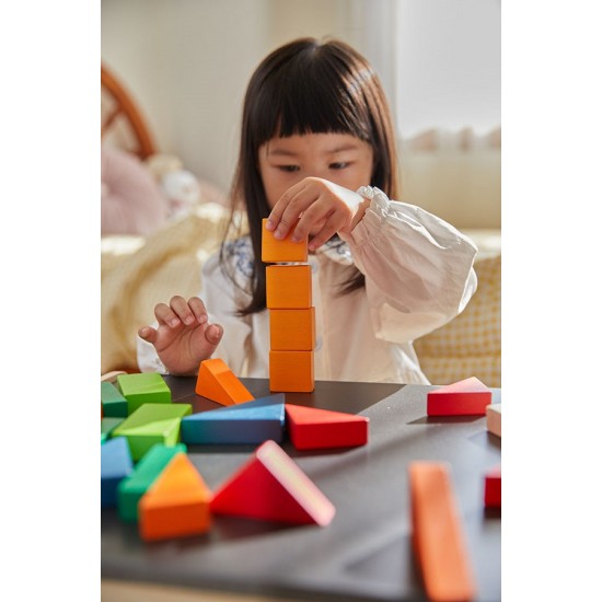 Κλάσματα με τουβλάκια Plan Toys 5467