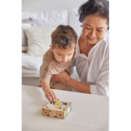 Παζλ με κύβους Plan Toys 4649