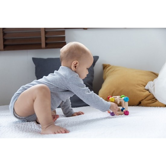 Κύβος με δακτυλίους Plan Toys 5245