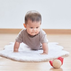 Πουλάκι που κυλάει Plan Toys 5296