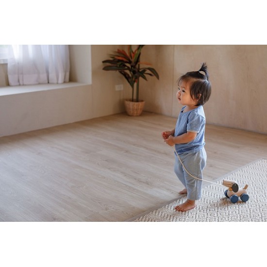Κουταβάκι που κινείται Plan Toys 5724