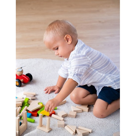 Τουβλάκια χρωματιστά (40τμχ) PlanToys 5513