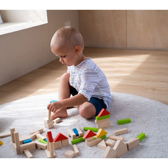 Τουβλάκια χρωματιστά (40τμχ) PlanToys 5513