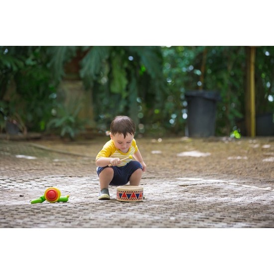 Ταμπούρλο Plan Toys 6404 