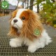 Λούτρινος Σκύλος King Charles Spaniel Καθιστό 25 Εκ. Eco-Friendly Rappa 203044