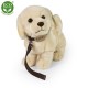 Λούτρινος Σκύλος Golden Retriever Με Λουράκι 25 εκ. Eco-Friendly Rappa 231009