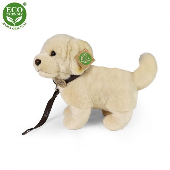 Λούτρινος Σκύλος Golden Retriever Με Λουράκι 25 εκ. Eco-Friendly Rappa 231009