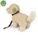 Λούτρινος Σκύλος Golden Retriever Με Λουράκι 25 εκ. Eco-Friendly Rappa 231009