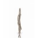 Μπανιέρα Με Βάση και Ράφι Kit Bagno Beige  CAM 525-V18